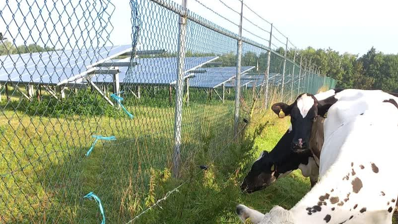 Zestigduizend euro schade bij diefstal zonnepark Azewijn