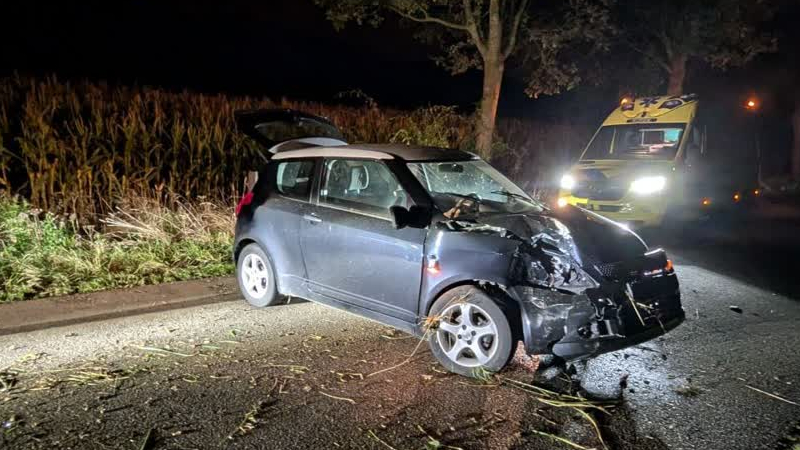 Auto raakt in de slip en raakt boom bij Hummelo
