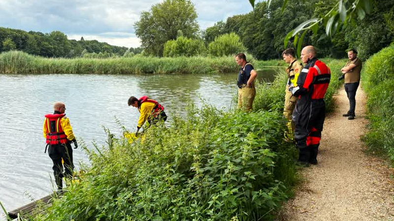 Drie jonge zwaantjes in Ulft gered na vastzitten in achtergelaten visdraad