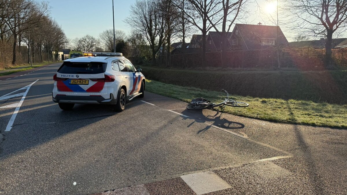 WhatsApp Image 2026-03-03 at 08.32.04.jpeg