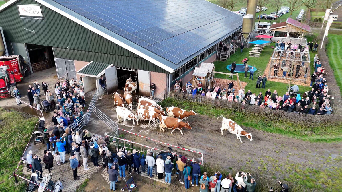 KoeiendansZonderDans3 @Mijndronebeeld.jpg