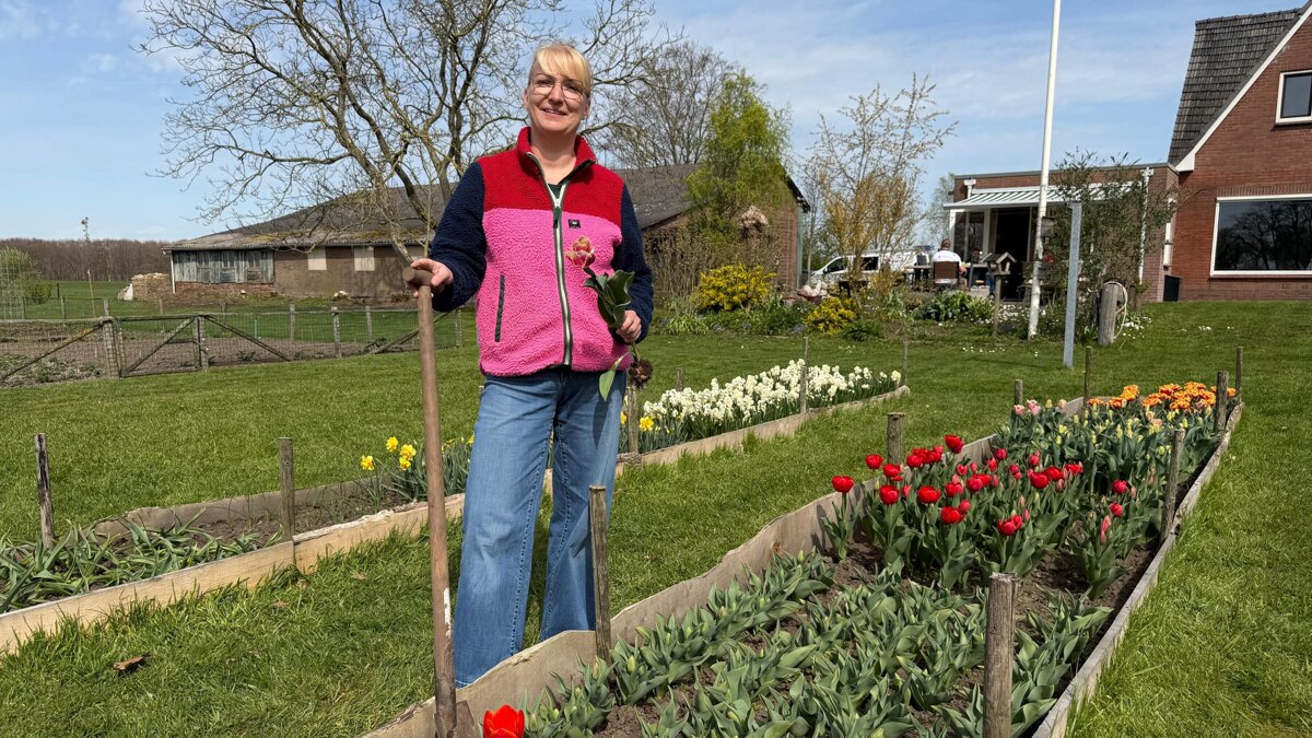 WhatsApp Image 2026-04-09 at 16.53.13.jpeg