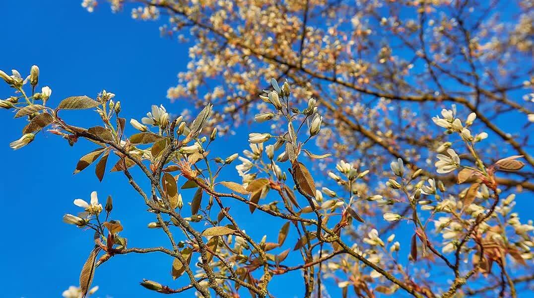 f1ead98bfaed8d6df049840044959b6b.jpg