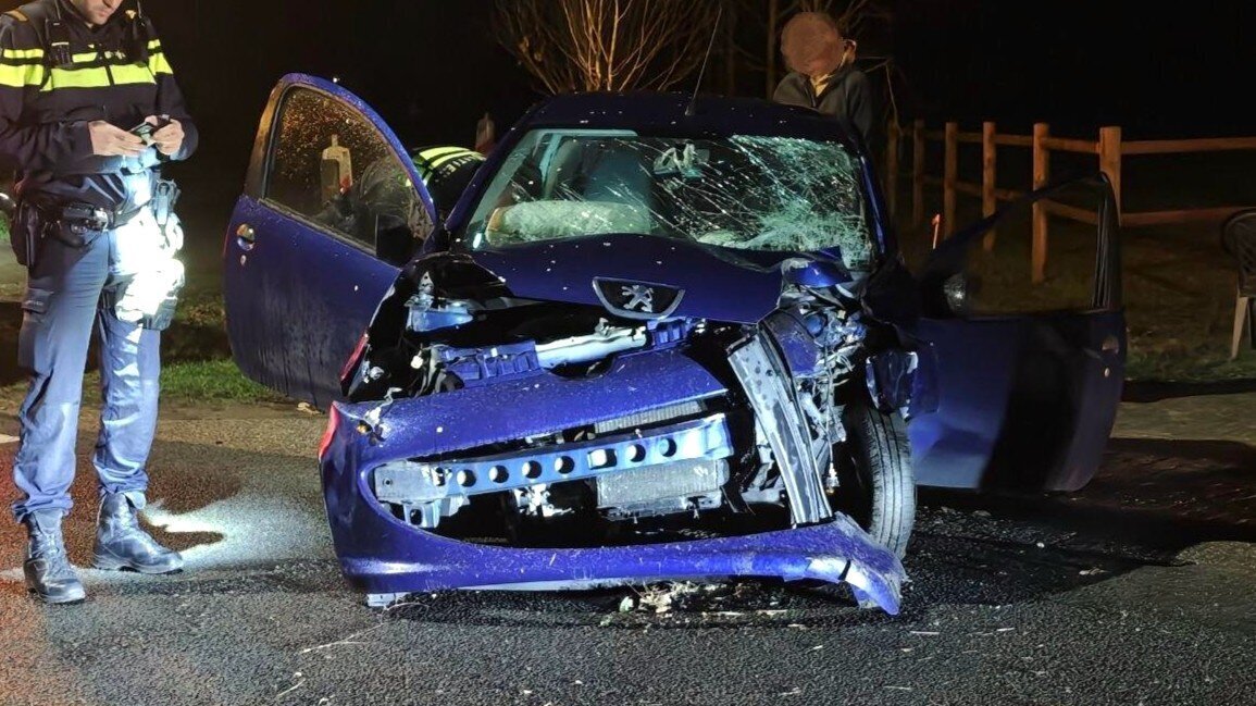 1774819860_photo_2026-03-29_23-06-05 (4).jpg