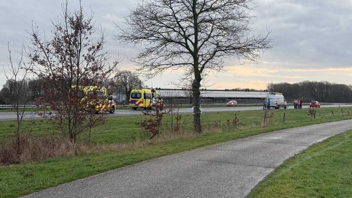 WhatsApp Image 2026-02-28 at 07.53.37.jpeg