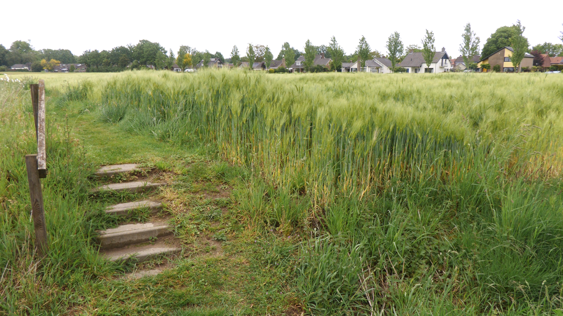Samenwerking tussen Hummelo en gemeente leidt tot woonplannen
