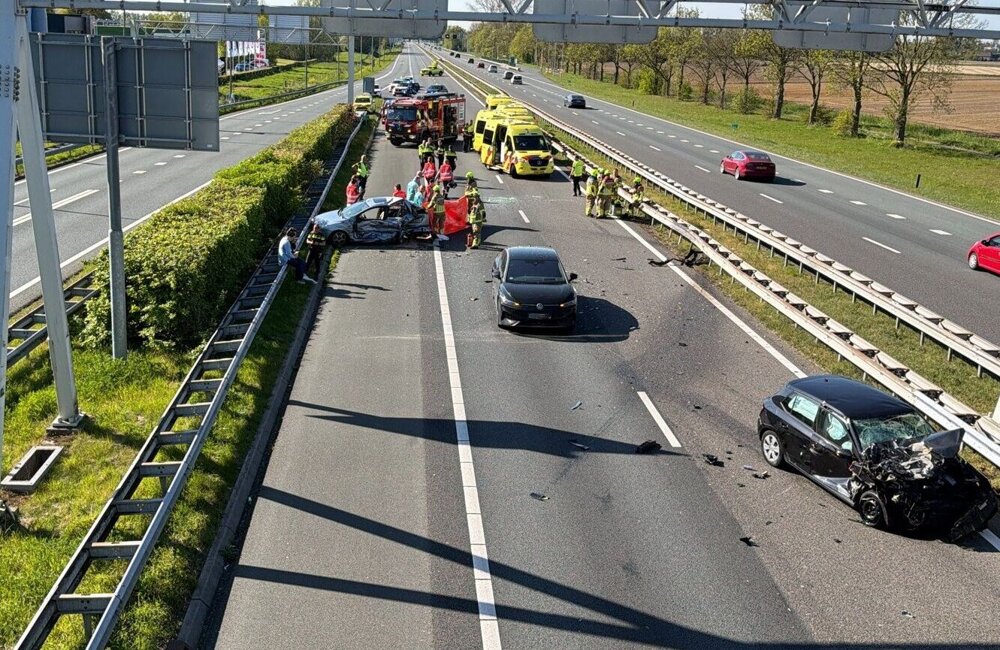 WhatsApp Image 2026-04-25 at 17.11.45.jpeg