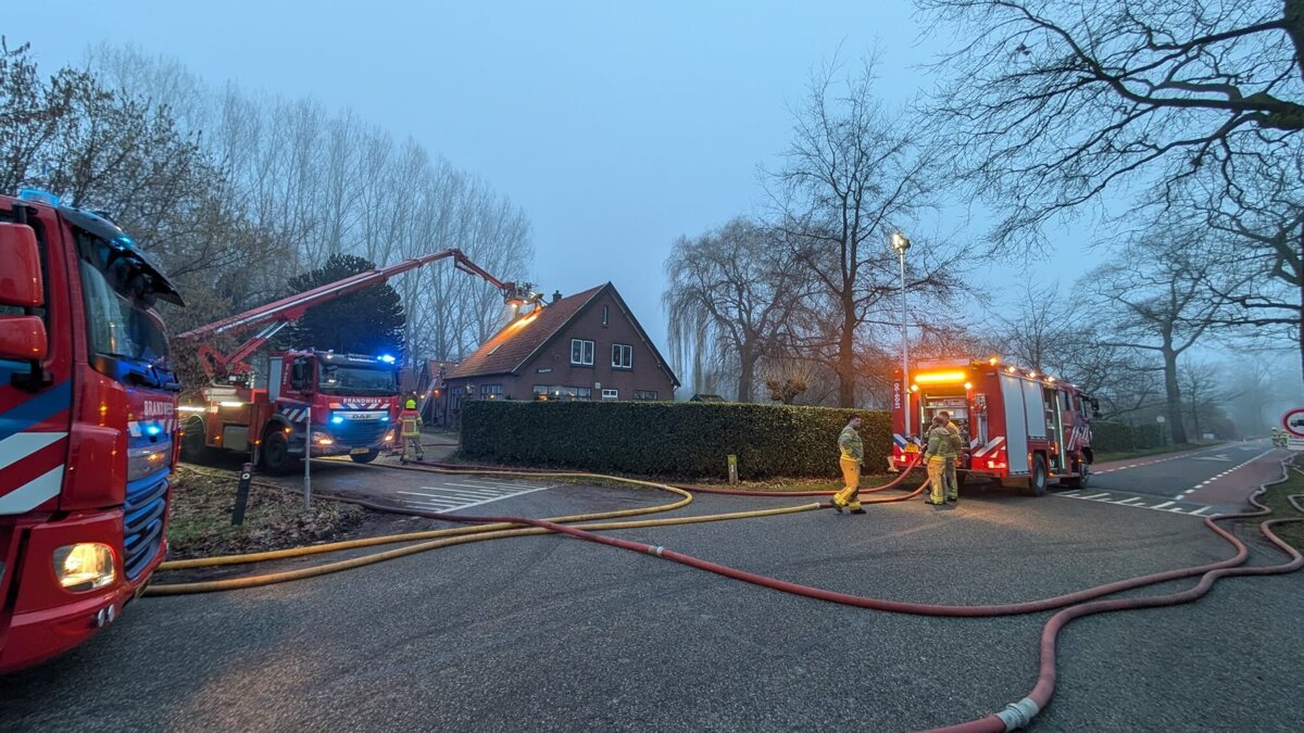 WhatsApp Image 2026-02-08 at 17.53.58.jpeg