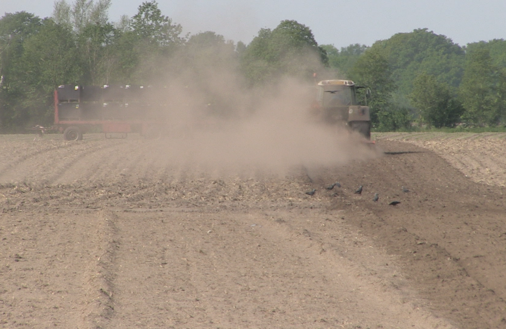 droogte10