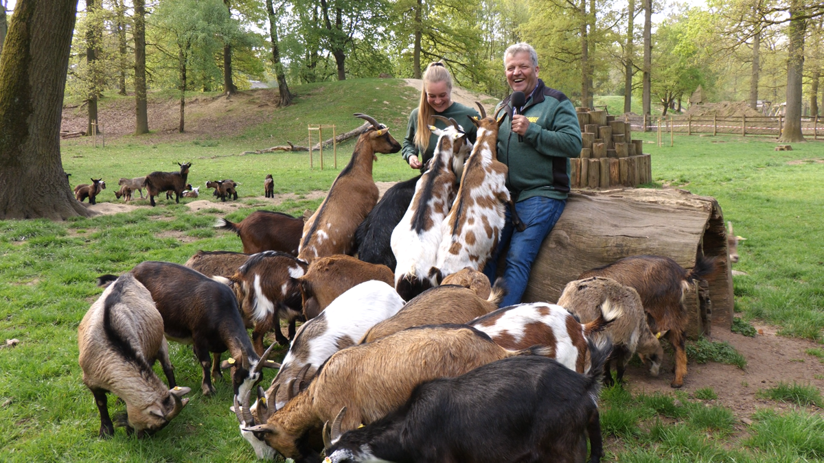 Gerrits Weerpraot_20.png