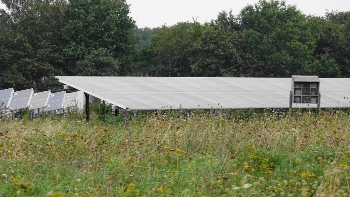 Zonne-energie-zonne-panelen-Foto-gemeente-Lochem