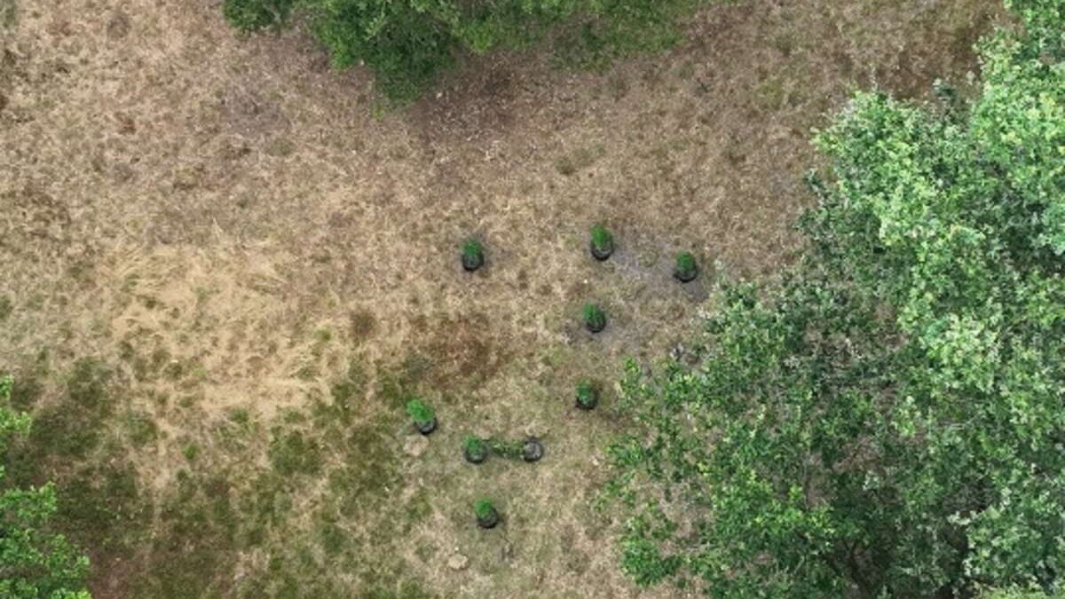 Drone fotografie hennep