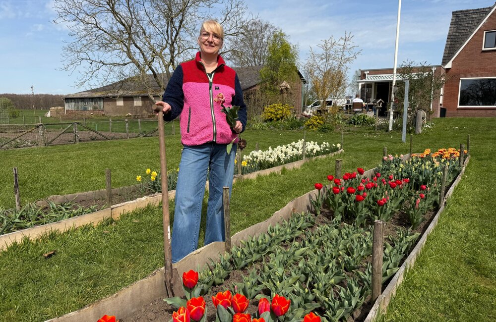 WhatsApp Image 2026-04-09 at 16.53.13.jpeg