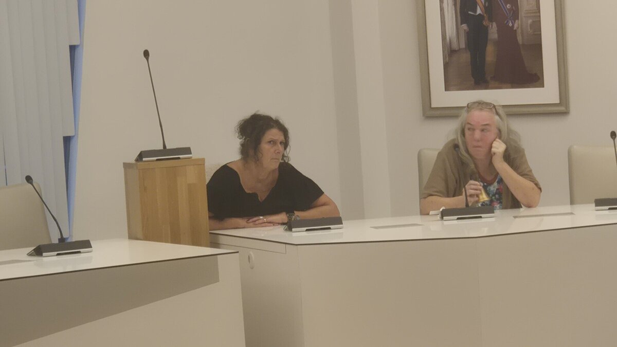 taalambassadeurs