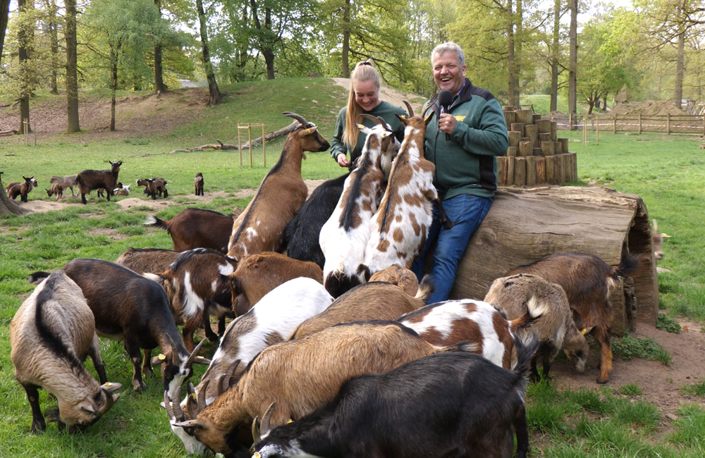 Gerrits Weerpraot_20.png