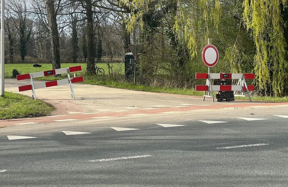 WhatsApp Image 2026-03-31 at 17.17.12.jpeg