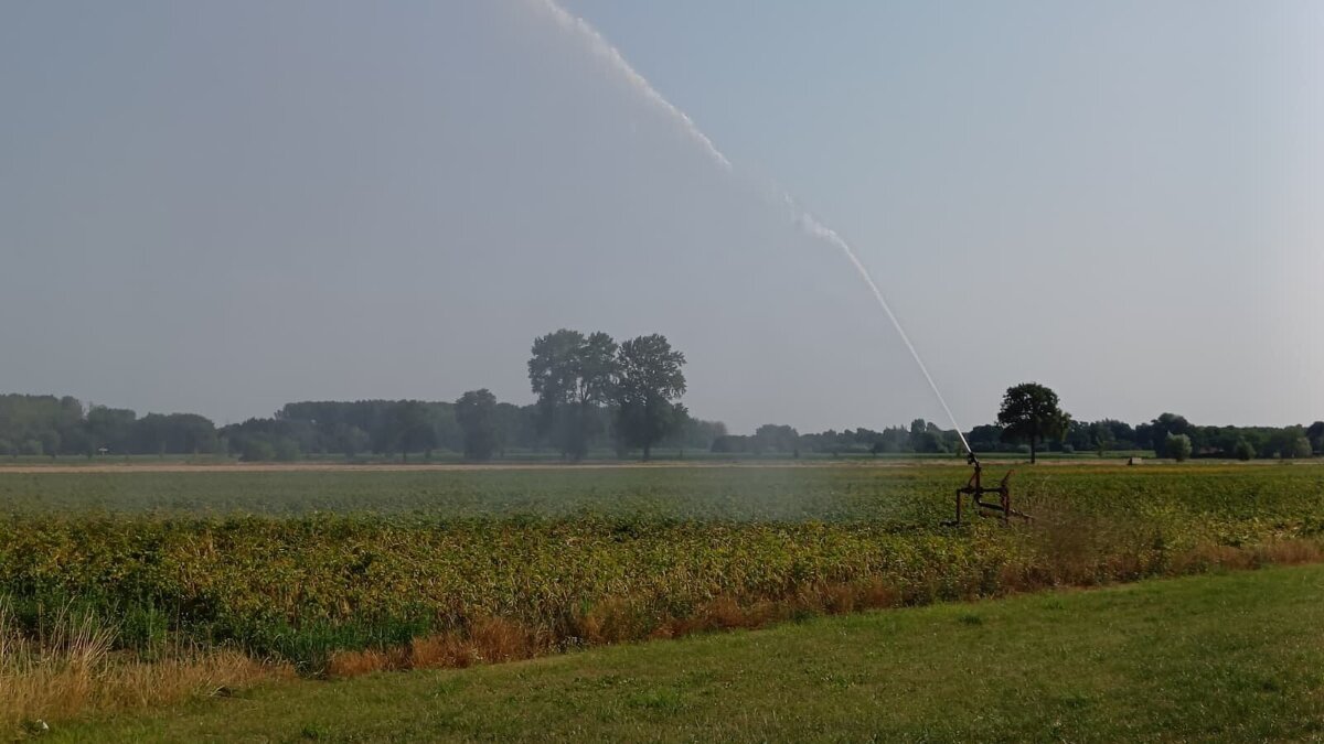 Sproei Droogte 2026-1