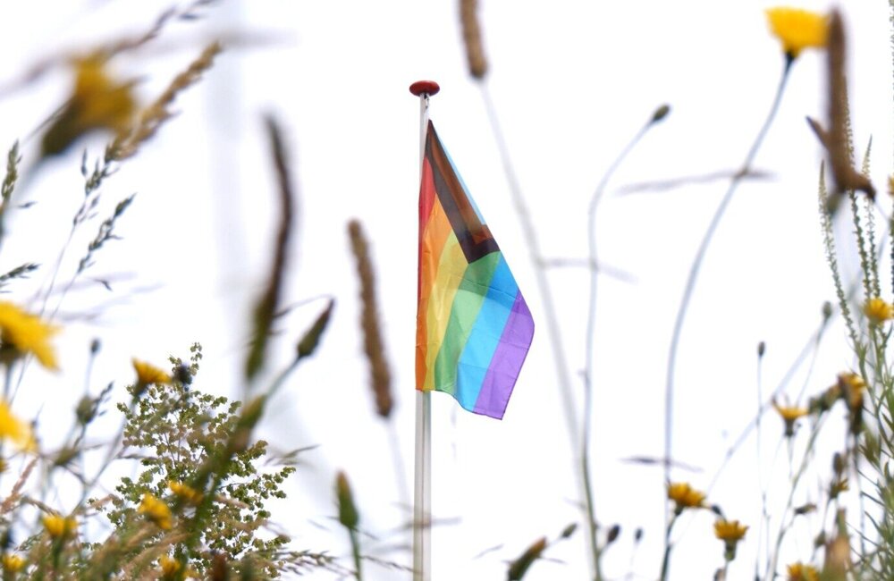 WhatsApp Image 2026-04-22 at 14.10.12.jpeg