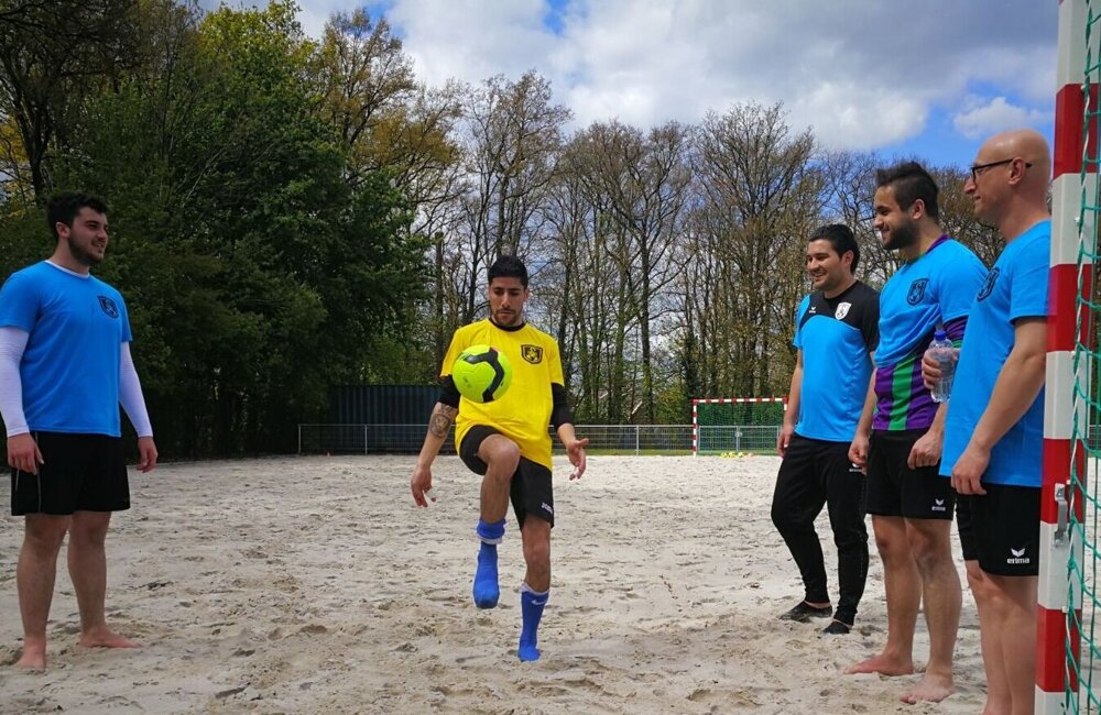 Dutch Scorpions1.jpg