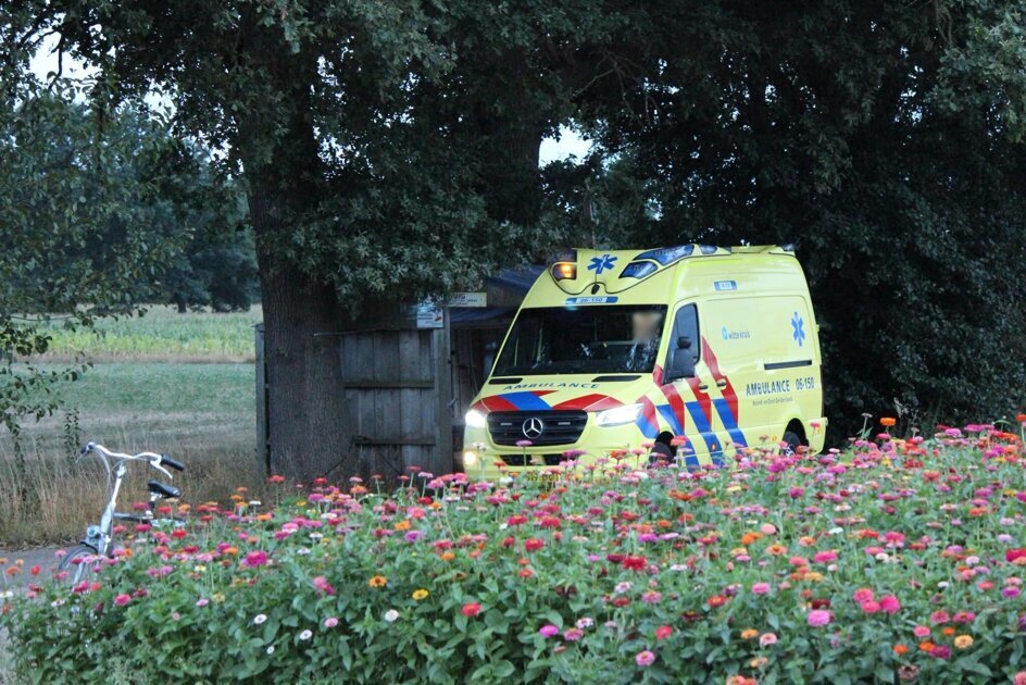 Auto botst tegen boom op terrein kwekerij in Aalten