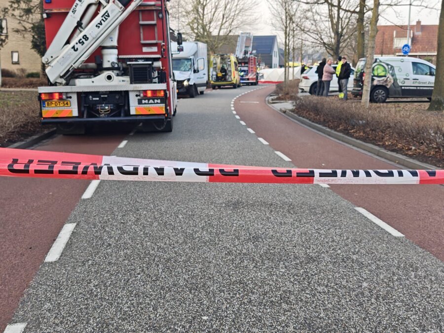 WhatsApp Image 2026-02-05 at 16.31.41.jpeg