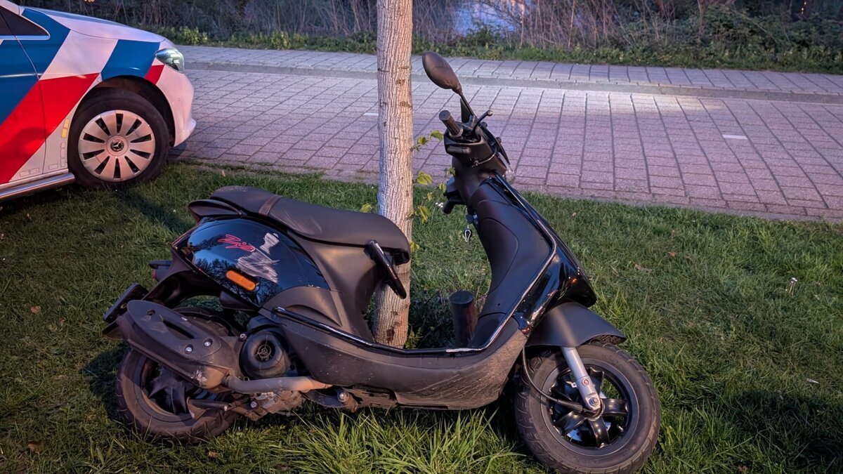 WhatsApp Image 2026-04-14 at 21.06.32.jpeg