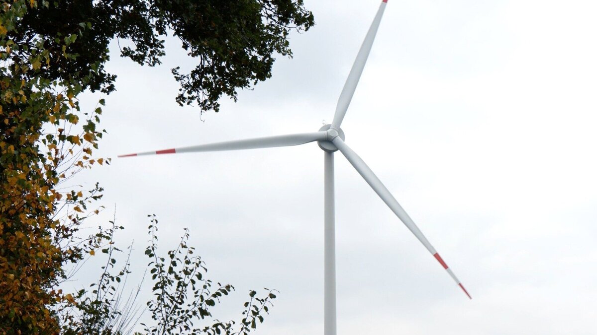 WhatsApp Image 2026-04-15 at 08.50.24.jpeg