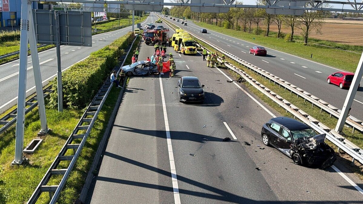 WhatsApp Image 2026-04-25 at 17.11.45.jpeg