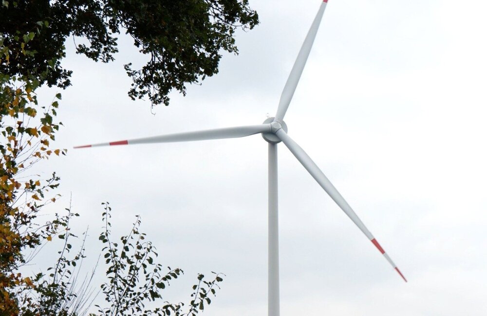 WhatsApp Image 2026-04-15 at 08.50.24.jpeg