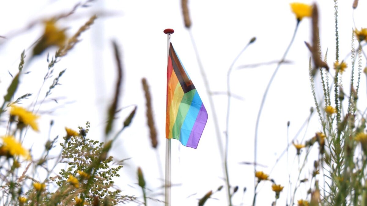 WhatsApp Image 2026-04-22 at 14.10.12.jpeg