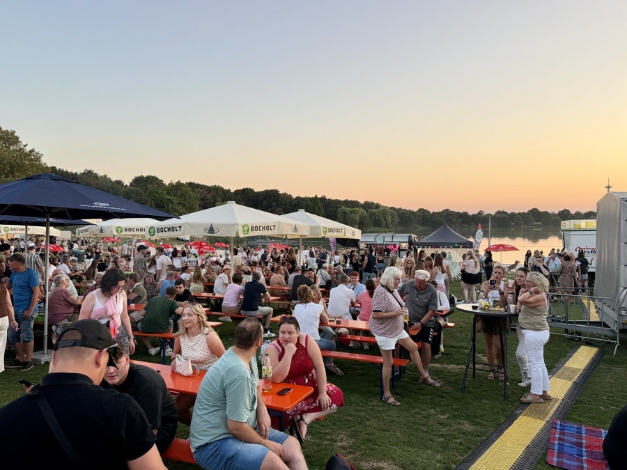 Aaseefestival_3