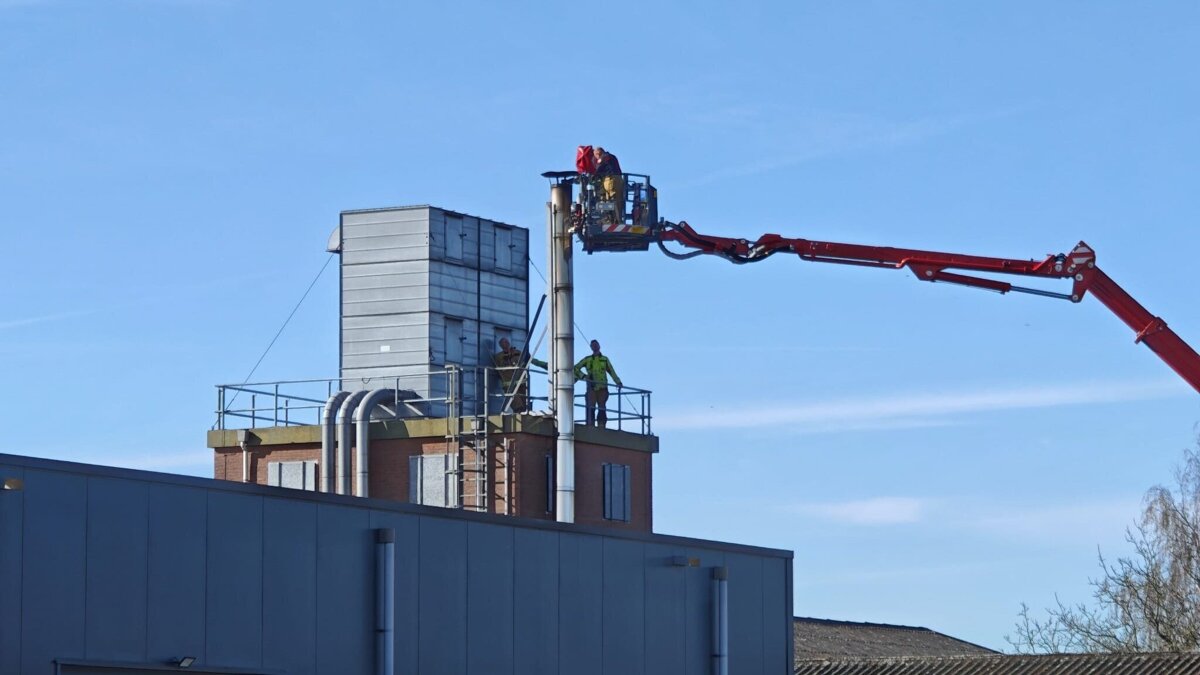 WhatsApp Image 2026-03-20 at 15.35.22.jpeg