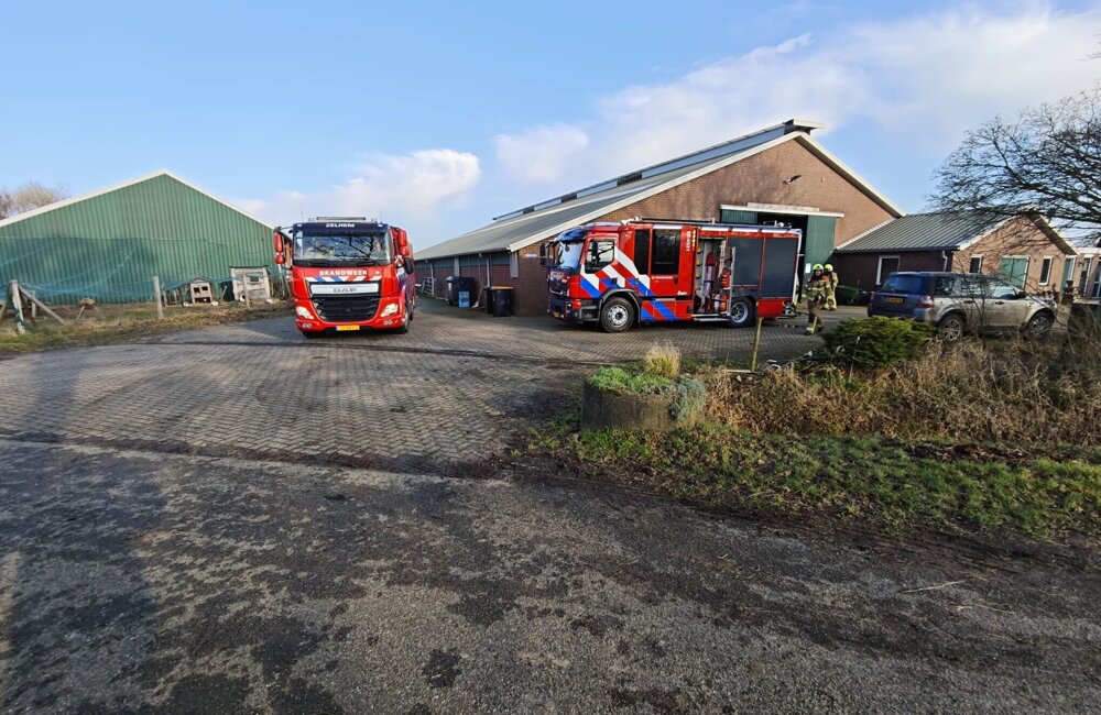 WhatsApp Image 2026-01-19 at 13.18.04.jpeg