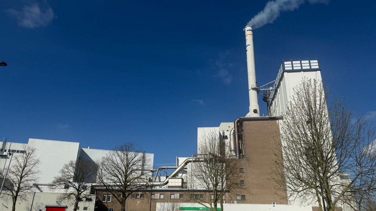 WhatsApp Image 2026-03-27 at 10.38.38.jpeg