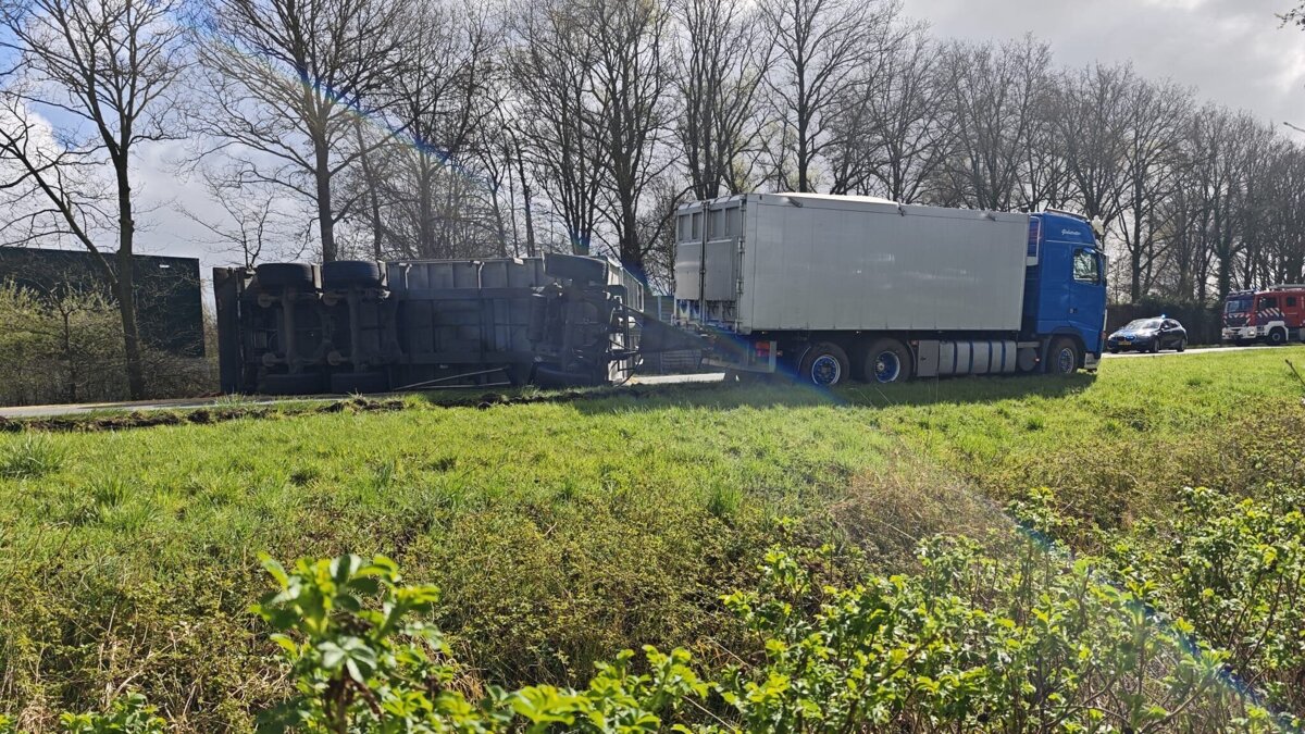 WhatsApp Image 2026-03-30 at 11.54.25.jpeg