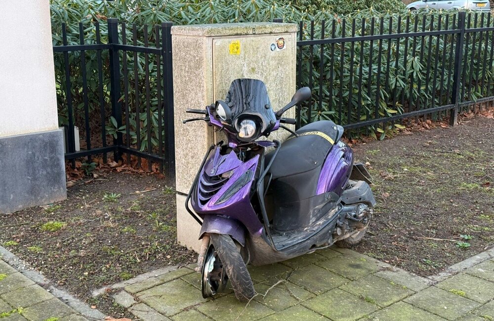 WhatsApp Image 2026-02-26 at 11.46.19.jpeg