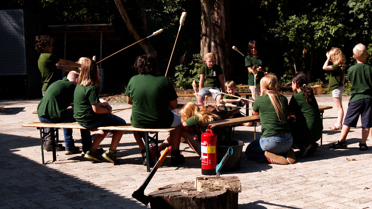 scoutingGoudenVos0