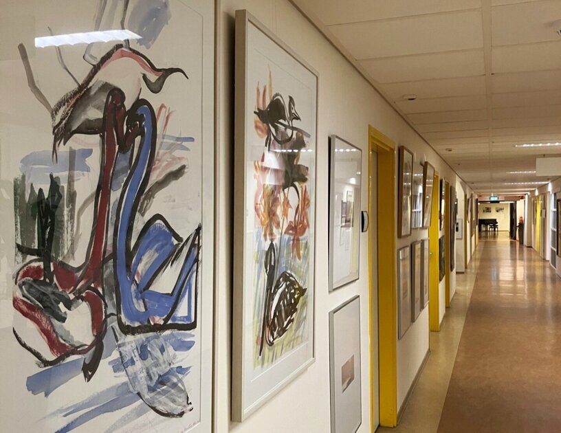Te weinig plek voor alle kunst in nieuw Slingeland Ziekenhuis: ruim 300 werken te koop