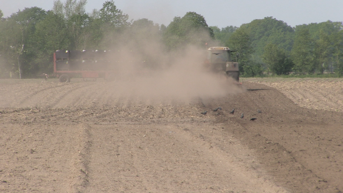 droogte10