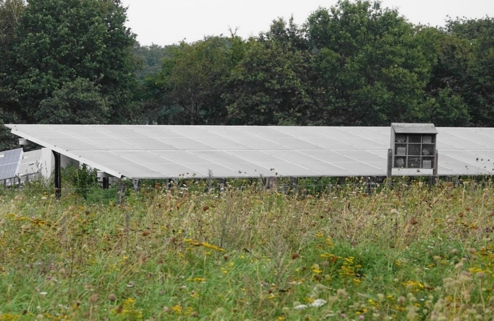 Zonne-energie-zonne-panelen-Foto-gemeente-Lochem