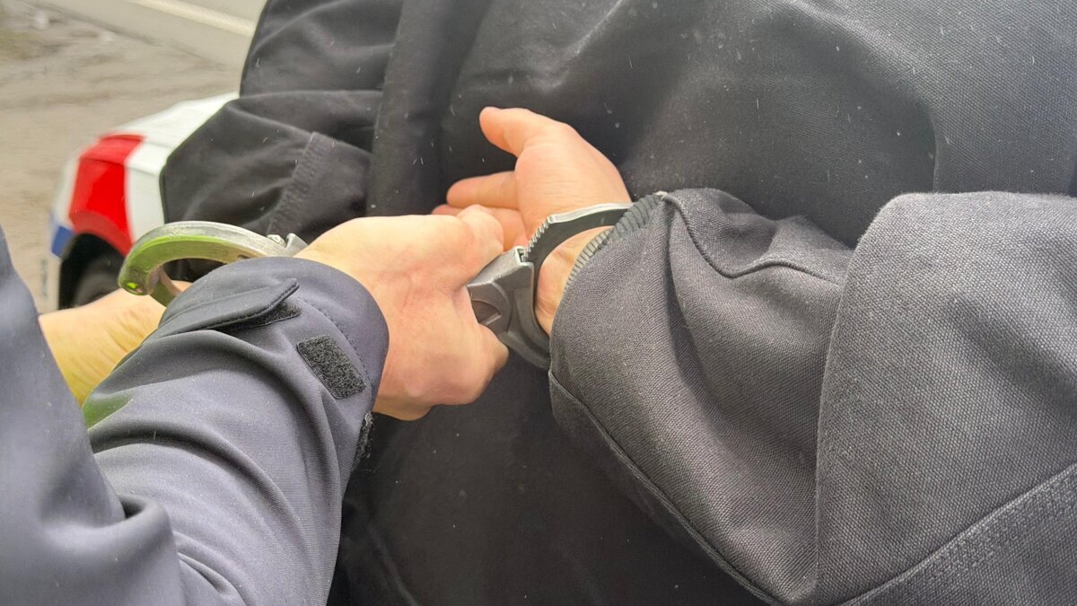 WhatsApp Image 2026-03-16 at 13.17.50.jpeg